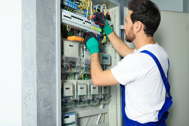 Best Electric Panel Repair  in Cameron Park, TX